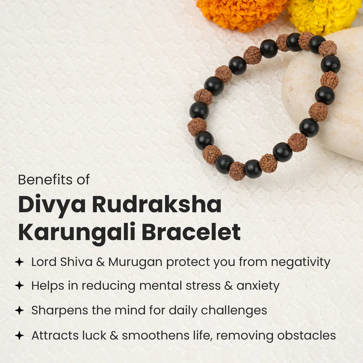 Divya Rudraksha Karungali Bracelet 8mm