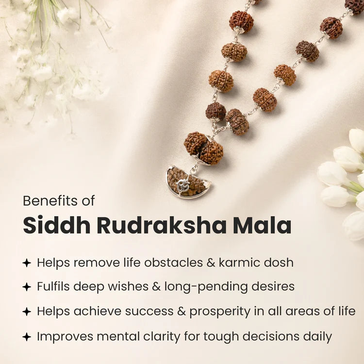 1-14 Mukhi Siddh Rudraksha Mala with Collector Beads