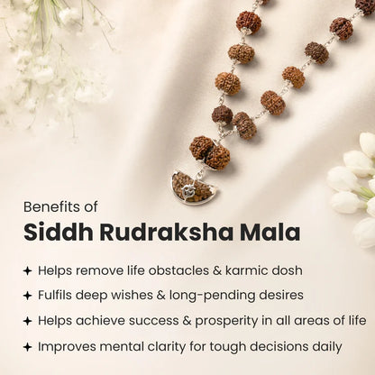 1-14 Mukhi Siddh Rudraksha Mala with Collector Beads