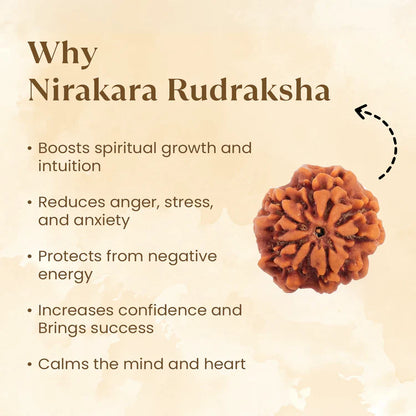 Nepal Origin Nirakar Rudraksha (0 Mukhi) - 17mm - 22mm