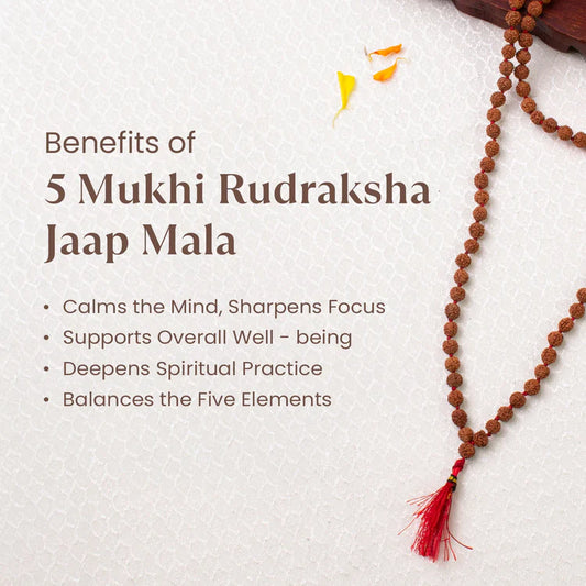 Rudraksh Mala