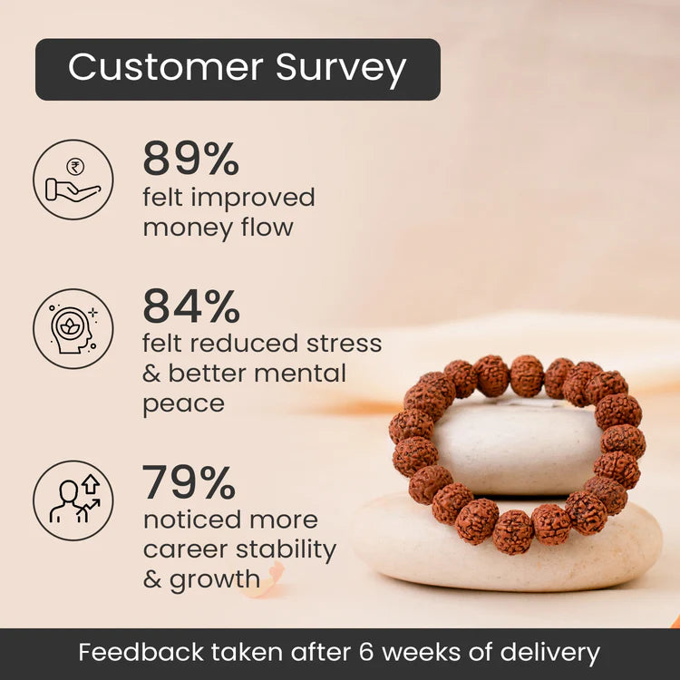 Rinmukteshwar Siddh 7 Mukhi Rudraksha Bracelet