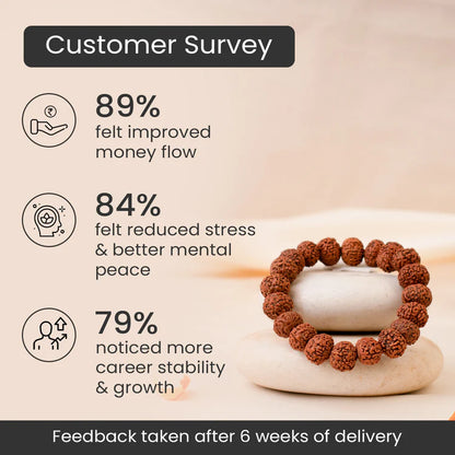 Rinmukteshwar Siddh 7 Mukhi Rudraksha Bracelet