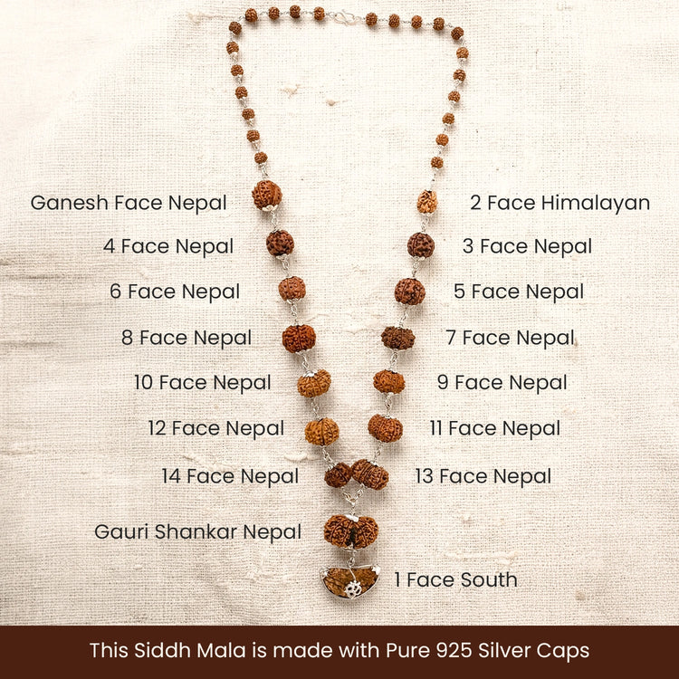 1-14 Mukhi Siddh Rudraksha Mala with Collector Beads