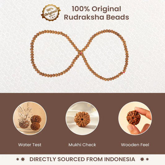 7 Mukhi Rudraksha Mala
