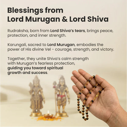 Divya Raksha Rudraksha & Karungali Mala with Gold Capping